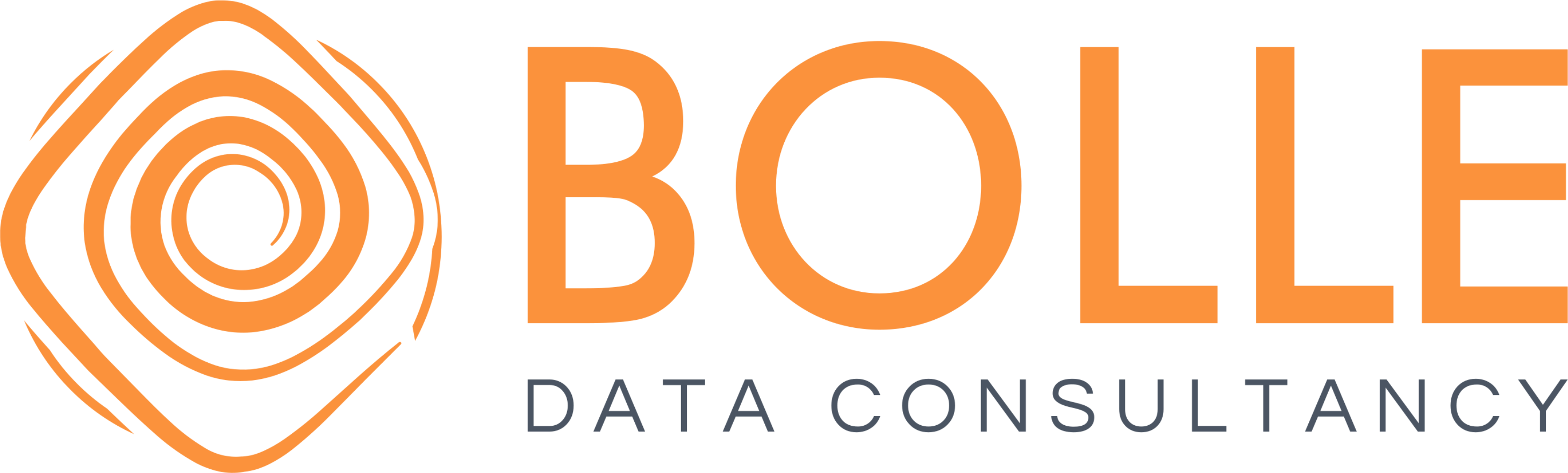 Bolle Data Consultancy company logo including an abstract icon.